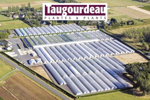 2010-TAUGOURDEAU