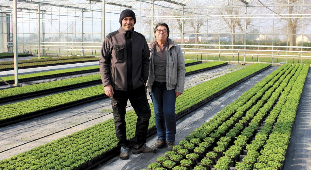 Fleurons Rajouri Bienvenue sur le site Corporate Fleuron d'Anjou
